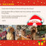 NORTHERN Biscuits - The Dogvent Calendar