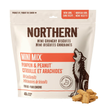 NORTHERN Mini Mix Pumpkin Pie and Peanut Crunch 450g