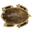 REDBARN Chew-A-Bulls Horned Toad Large 25ct