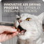 REDBARN Cat Air Dried GF Chicken Recipe 2.5oz Trial