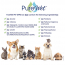 PUREWET Pet Wipes 60ct