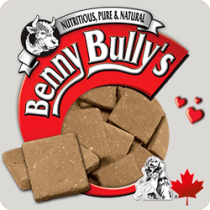 BENNY BULLYS