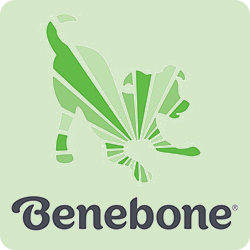 Benebone Premium Dog Chews Made with Real Ingredients