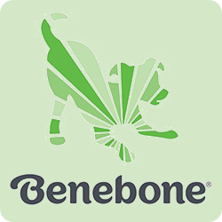 Benebone top made of