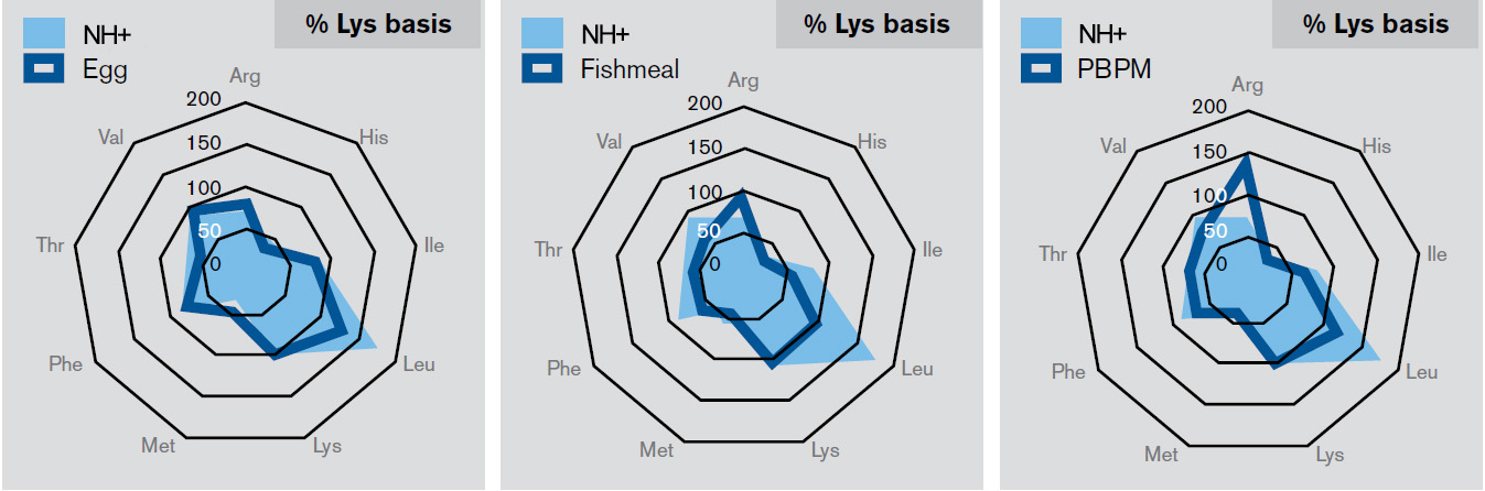 Nature’s HUG NH+ (Versity) Protein: Scientific Study Reveals: Amino acid composition of NH+ (Versity) vs egg, fishmeal, and poultry by-product meal when expressed as a percentage of lysine: