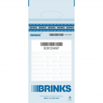 BAG, SELF SEALING, ROLLED COIN, 8X8 (HANDLE)