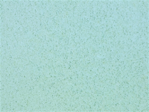 Sider-Proof roll on pool plaster - Speckled Glacier
