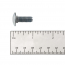 Carriage Bolt - Bed Bolt - 1948-56 Ford Truck
