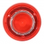 Taillight Lens - Ford Script - 1956 Ford Car, 1956 Ford Thunderbird