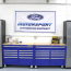 Ford Motorsport Wall Banner - 2 Color - All