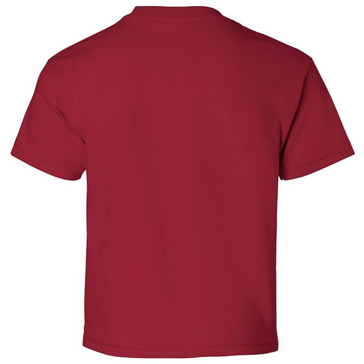 Gildan DryCotton Youth T-Shirt