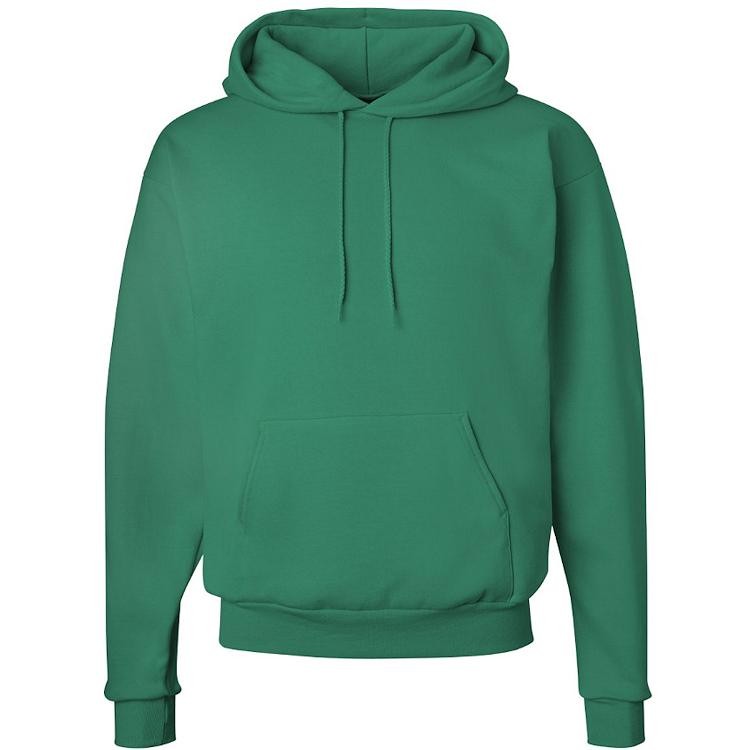 Hanes Ecosmart Hooded Sweatshirt