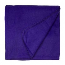 Union Line Polar Fleece Blanket
