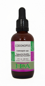 Codonopsis Extract