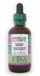 Dandelion Glycerite