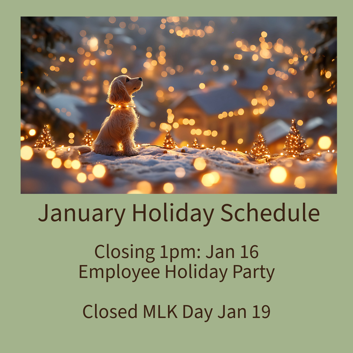 Holiday Hours.