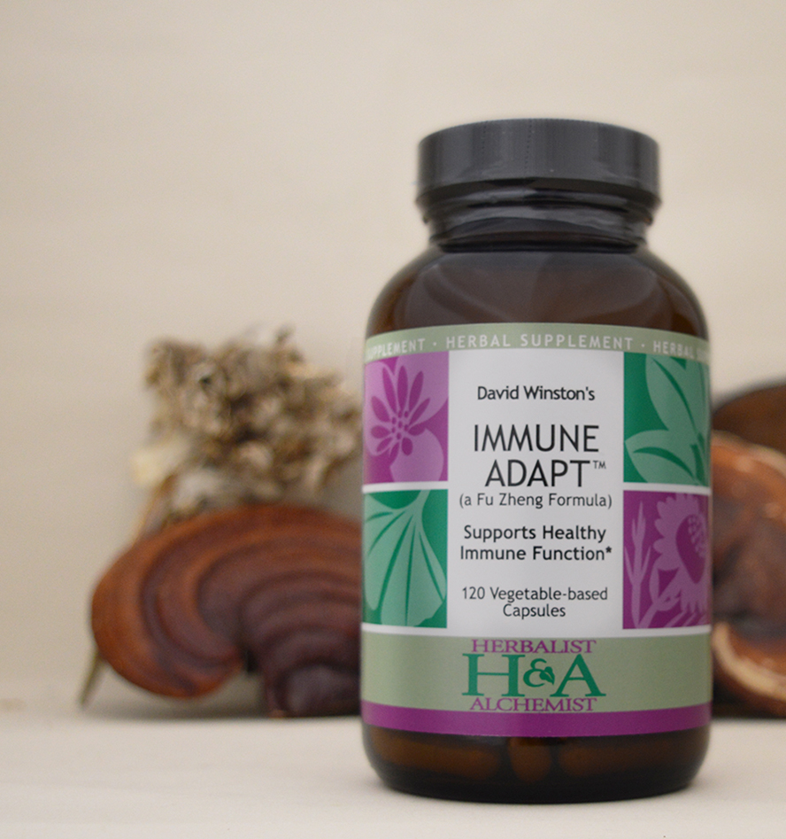 Herbalist and alchemist david winstons immune adapt capsules with adaptogens in background