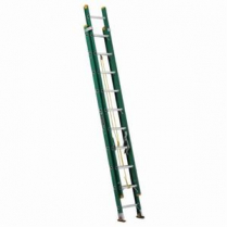 LADDER EXT 20FTOAL TYPE II 225LB 12IN