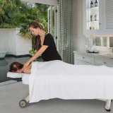 Earthlite Ellora Vista Electric Lift Flat Top Massage Table