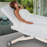 Earthlite Ellora Vista Electric Tilt Treatment Table