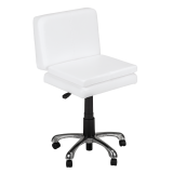 LEC Duet Stool W/ Booster Pad