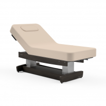 Oakworks PerformaLift Lift Assist Backrest Treatment Table