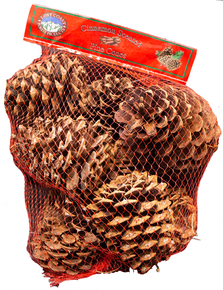 Bag of Pine Cones - Cinnamon - Pine Cones Direct