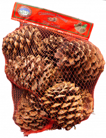 Single Scented Pine Cones - Cinnamon