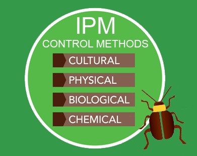 Effective Approaches for Pest Management Success