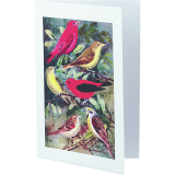 Avery® Half-Fold Greeting Cards 8-1/2" x 5-1/2" White 20 sets/box