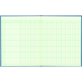 Blueline® A1740 Columnar Book 12-1/4" x 9-7/8" 12-column