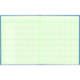Blueline® A1740 Columnar Book 12-1/4" x 9-7/8" 18-column