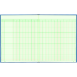 Blueline® A1740 Columnar Book 12-1/4" x 9-7/8" 20-column