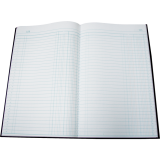 Blueline® A790 Account Book 12-1/2x7-5/8" Record