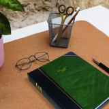 Blueline® Traditional Daily Diary Hard Cover 8-1/8" x 6-1/2" Bilingual Green