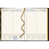Brownline® Executive Daily Diary Hard Cover 10-3/4" x 7-3/4" Trilingual Black