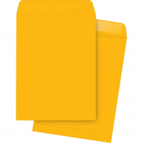 Business Source Catalogue Envelopes Kraft 9-1/2" x 12-1/2" 250/box