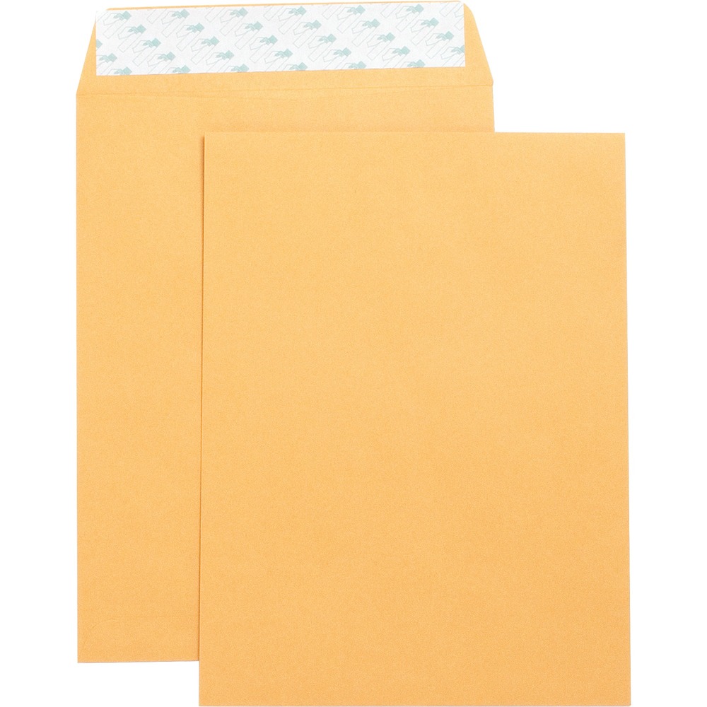 Business Source SelfAdhesive Catalogue Envelopes Kraft 9" x 12" 250