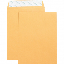 Business Source Self-Adhesive Catalogue Envelopes Kraft 9" x 12" 250/box