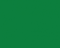 Demco Acrylic 473ml Permanent Green Light Hue