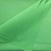 DBLG Tissue Paper 30 x 20 Green 24 sheets/pkg