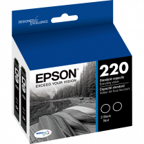 Epson® 220 Inkjet Cartridge Black