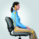 Fellowes® Professional Series Back Support with Microban®Protection Black