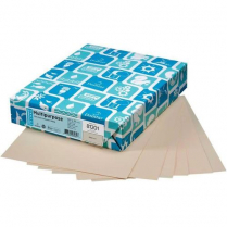 Pastel Multipurpose Copy Paper 20#  Letter 8-1/2" x 11" Tan 500/pkg