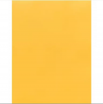 Pastel Multipurpose Copy Paper 20#  Letter 8-1/2" x 11" Goldenrod 500/pkg
