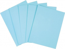 Pastel Multipurpose Copy Paper 20#  Letter 8-1/2" x 11" Blue 500/pkg