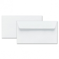Hilroy Press-it Seal-it® Envelopes #8 Security 55/box