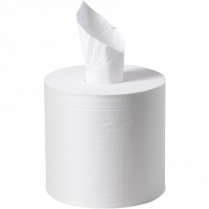 Esteem® 2-ply Centre-Pull Towels White 6 rolls/ctn