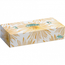 WHITE SWAN TISSUE 30B/CTN 2PLY 100SH/BOX KRI08301