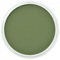 PanPastel Artists' Pastels 9ml Chromium Oxide Green Shade